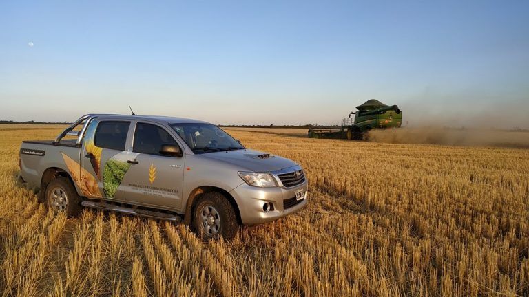 Llegó el Primer Lote de Trigo para el Remate en la Bolsa de Cereales de Córdoba