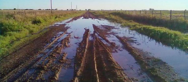 FADA: El estado de los caminos rurales ocasiona graves pérdidas en el sector
