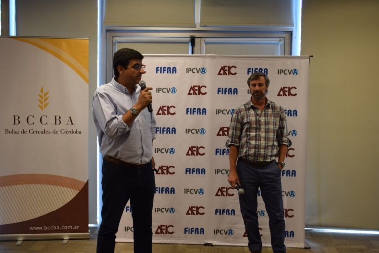 AgroIdeas: Informe sectorial observa alta faena y suba en precios