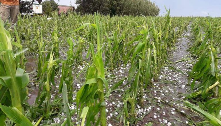 Fuertes tormentas afectaron a varias localidades del interior cordobés