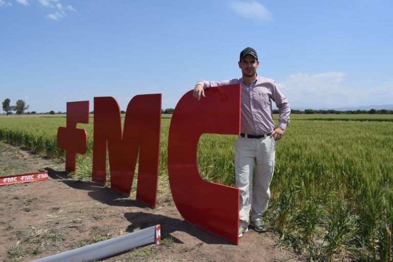 Cropshield: el escudo Banda Verde de FMC para plagas en Soja