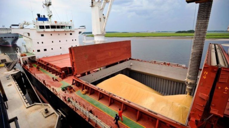 El trigo argentino, rumbo a establecer una presencia récord en Asia entre febrero y marzo