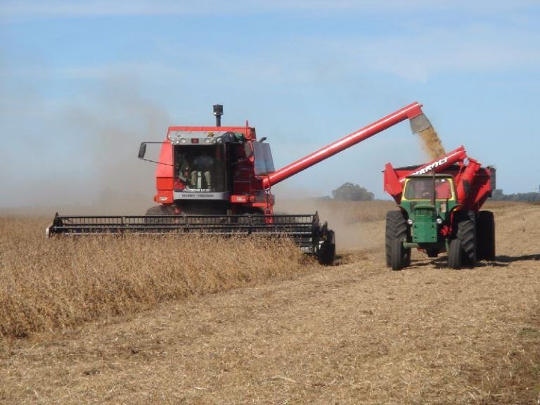 Cómo es la propuesta de productores del sur de Santa Fe para segmentar retenciones