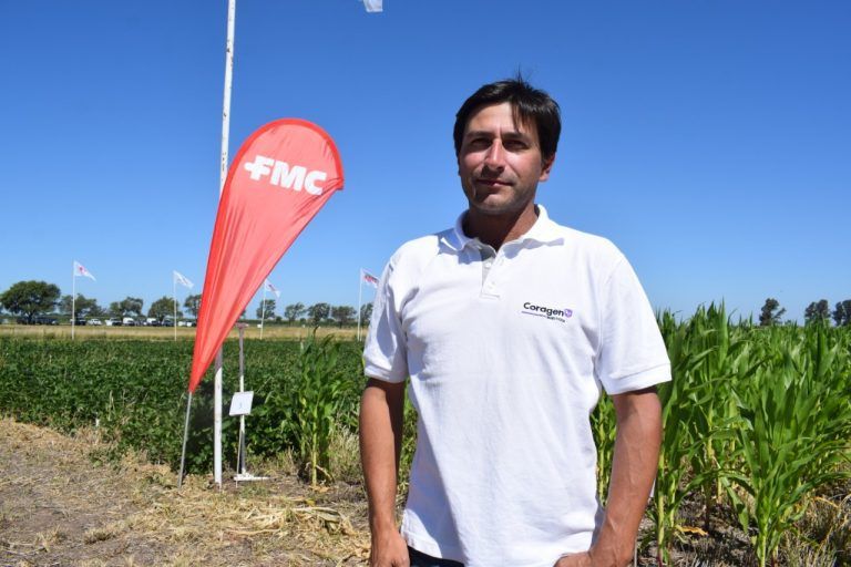 En FMC invitan a actuar contra malezas en el final de la gruesa