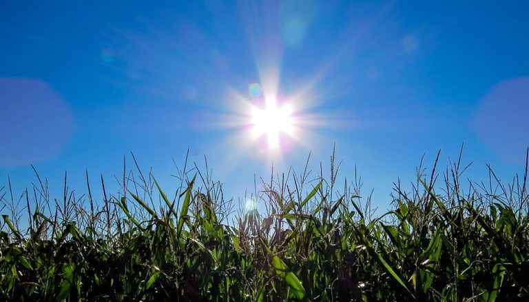 Se espera una semana con elevadas temperaturas en el centro y el norte del país