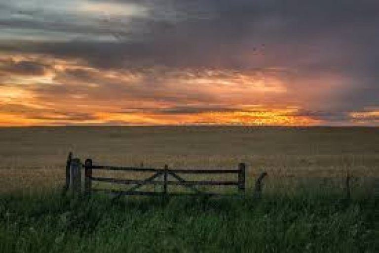 ¿Cómo quedan las retenciones que pagará el agro?