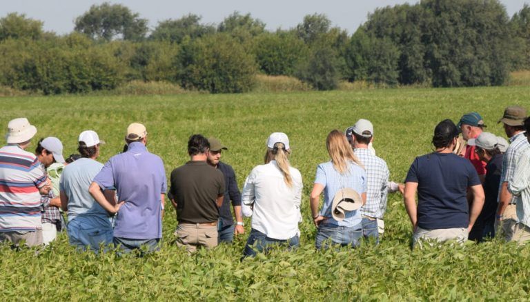 Encuesta: con poca expectativa, el campo trabaja y los productores planifican