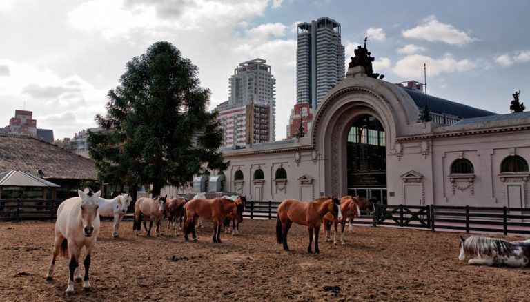 Por el coronavirus, la Rural no se hará en las vacaciones de invierno