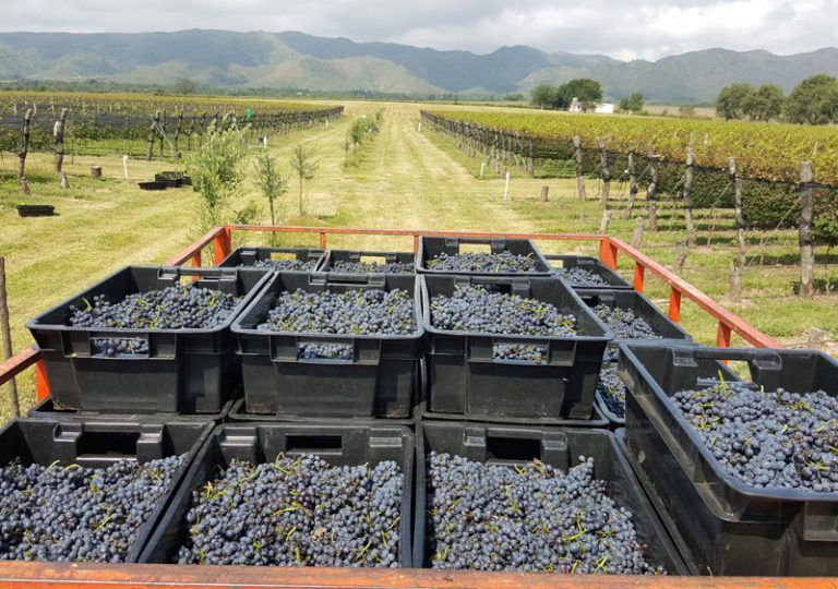 Agricultura y el INV lanzan mesa de pronóstico de cosecha