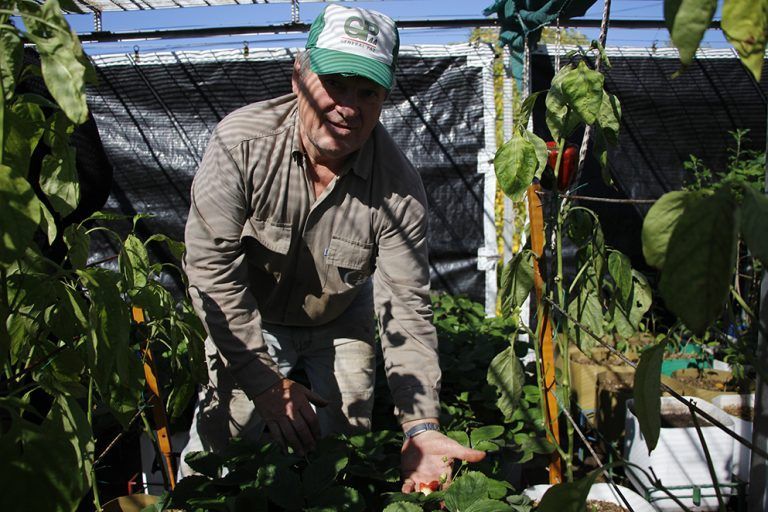 Capacitación virtual sobre prevención del coronavirus en el trabajo agrario