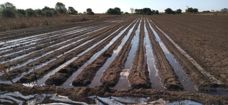 Firman convenio de promoción de huertas agroecológicas