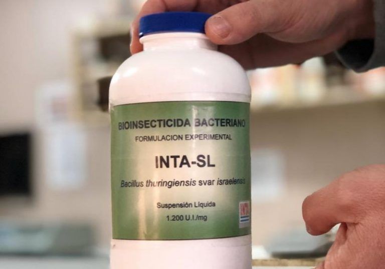 El INTA generó un biolarvicida para hacer frente al dengue