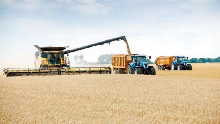 En busca de dólares, restringen créditos a empresas del agro con incentivos para que vendan la cosecha