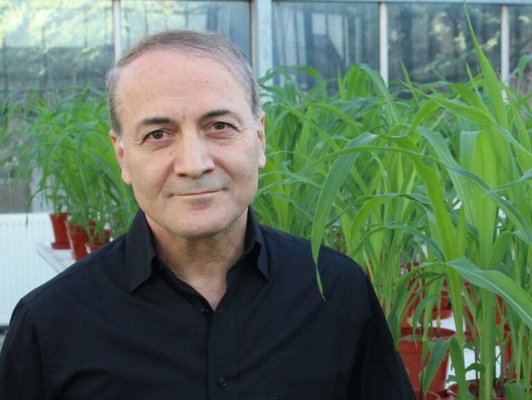 Mosaic, Bunge y ACA organizan un evento digital sobre fertilización