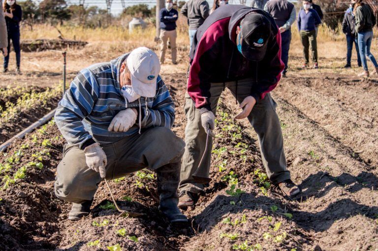El Campo Escuela de FCA recibió a autoridades de Agricultura