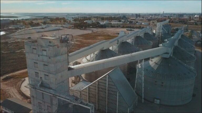 Que empresas reemplazaron a Vicentín en el sector agroexportador