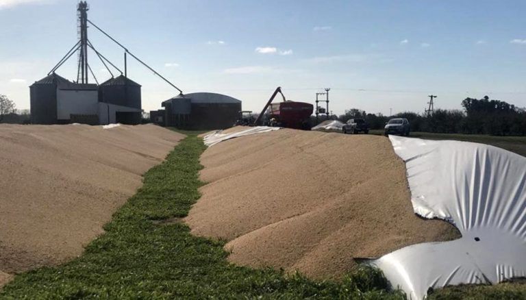 El Gobierno deslizó que detrás de los ataques a silo bolsa podría estar la oposición