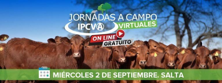 Llega jornada a campo virtual del IPCVA en Salta