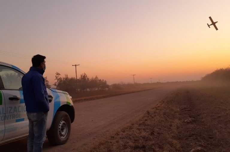 Plaga de langosta: siguen las aplicaciones aéreas y terrestres
