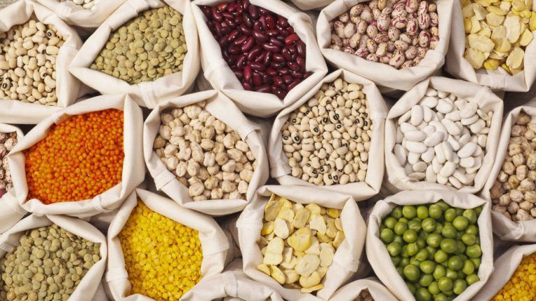 Europa establece programas ambientales y de seguridad alimentaria