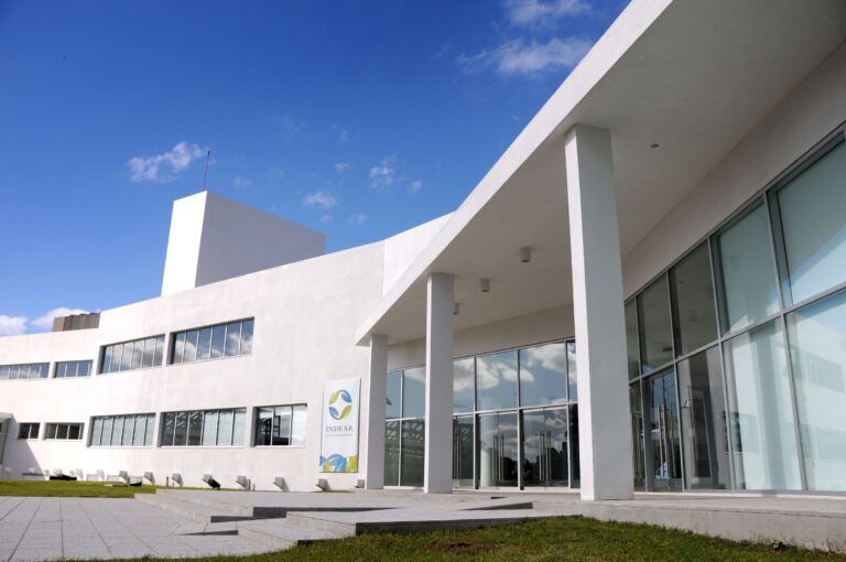 Bioceres adquiere nuevos eventos biotecnológicos en trigo