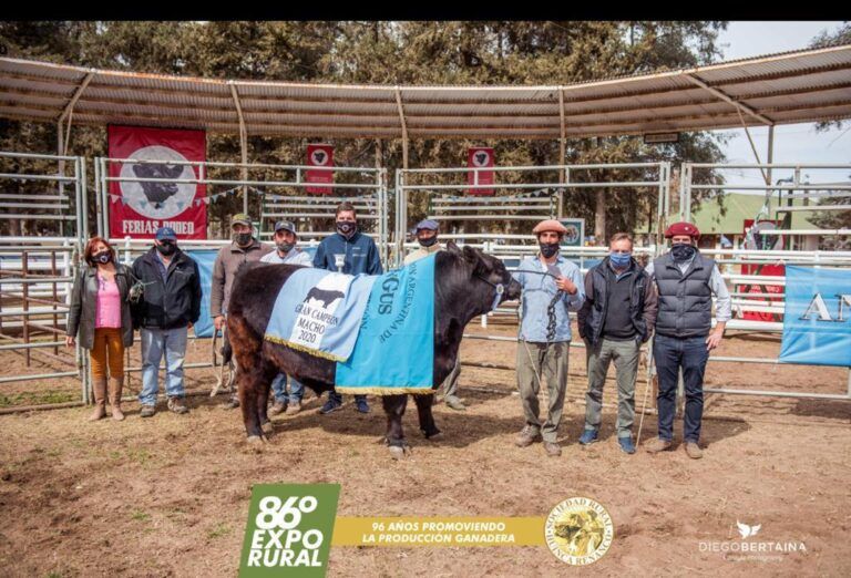 El Gran Campeón Angus se vendió a 840 mil pesos en Huinca Renancó