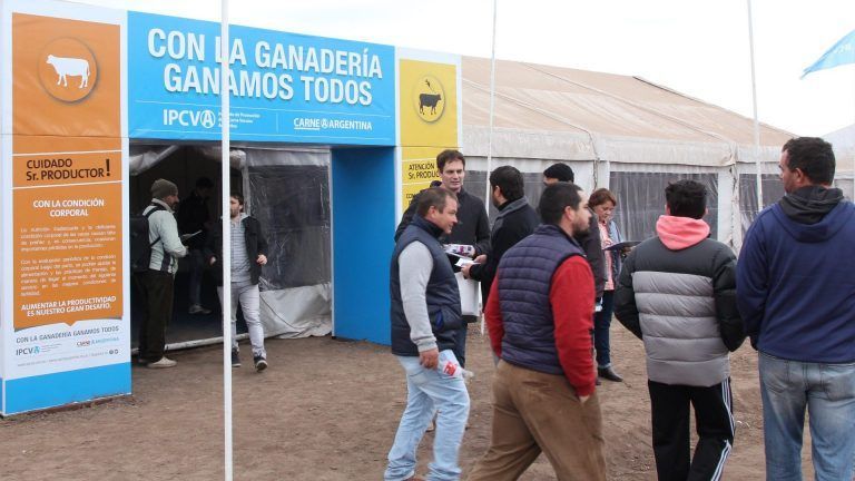 Forte: “es un orgullo participar en Agroactiva Virtual»