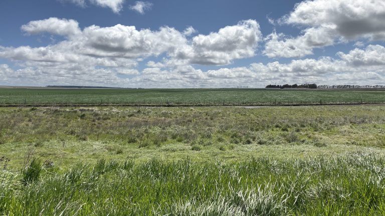 Aapresid se expresó en un comunicado sobre la toma de tierras