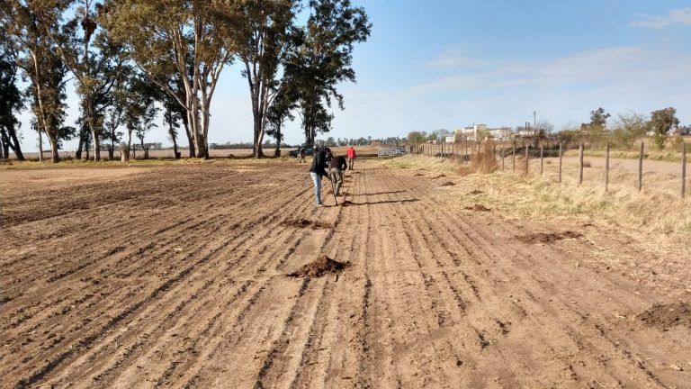 Zonas periurbanas: cortinas forestales para cuatro localidades