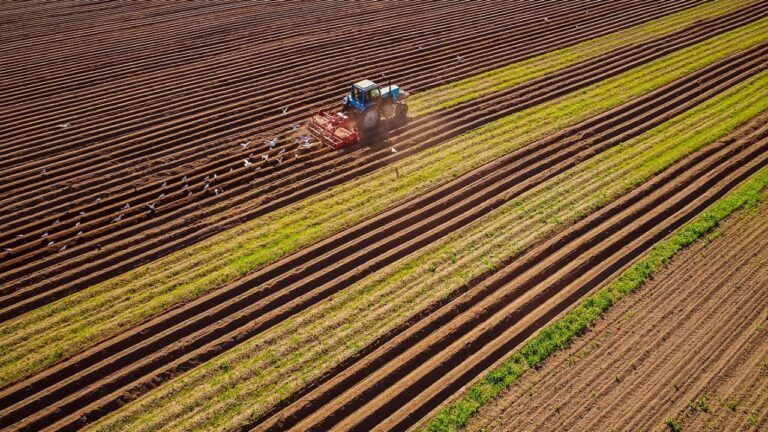 Día de los Fertilizantes: un recurso clave para asegurar alimentos