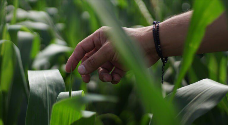 Bayer: transformar el sistema alimentario con innovación