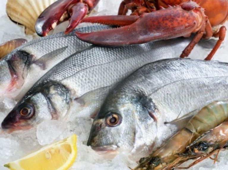 Habilitan la planta procesadora pescado más austral del país