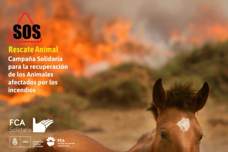 Ciencias Agropecuarias UNC lanza SOS Rescate Animal
