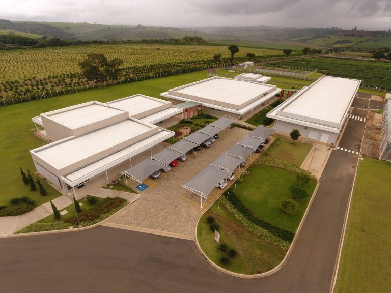 Sumitomo Chemical, líder en soluciones híbridas para la agricultura