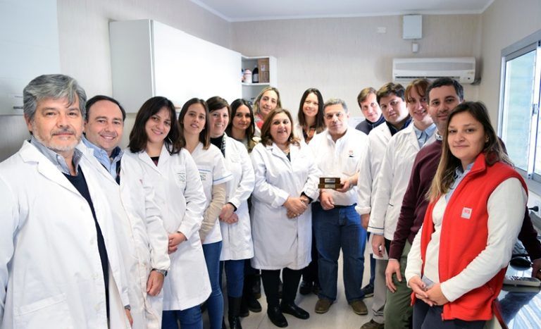 Crean gel de propóleos para tratar infecciones en la piel