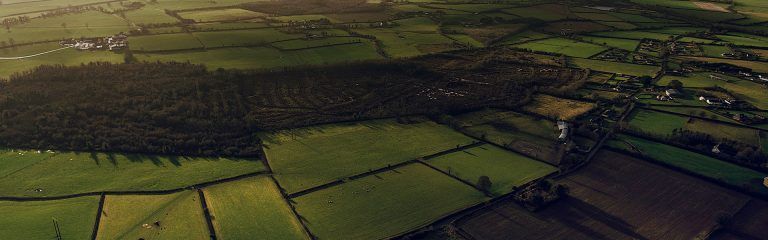 El campo sale al encuentro de la innovación digital