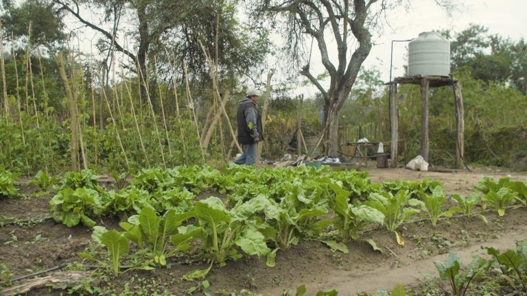 Programa Semillero de Futuro 2020 ya tiene ganador