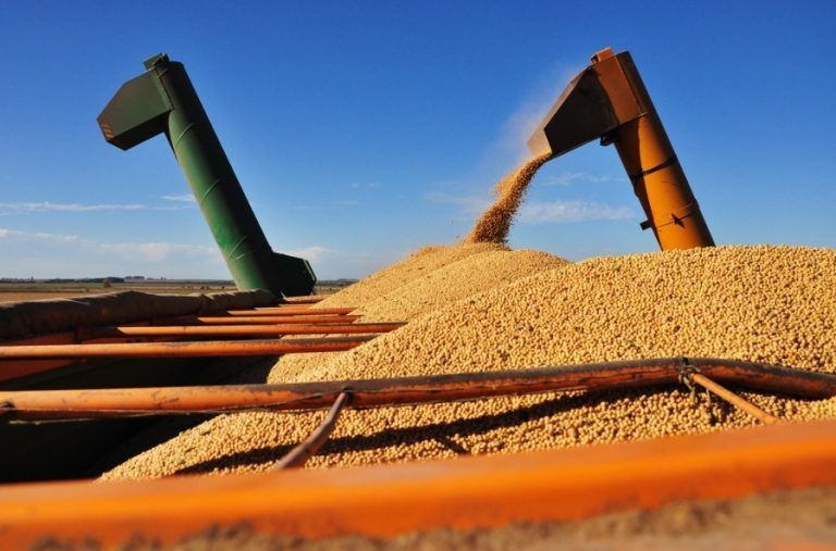 Curso de Gestión de Empresas Agropecuarias gratis y online: cómo anotarse