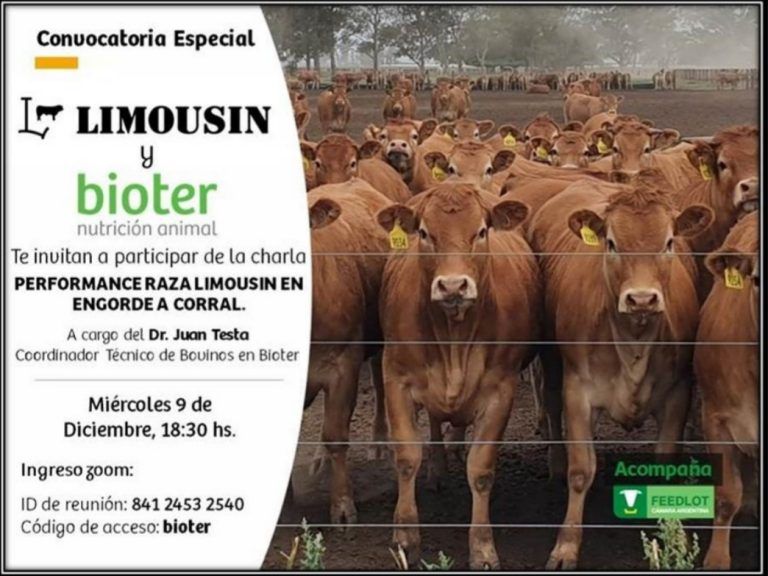 Bioter y Limousin invitan a Charla sobre engorde a corral