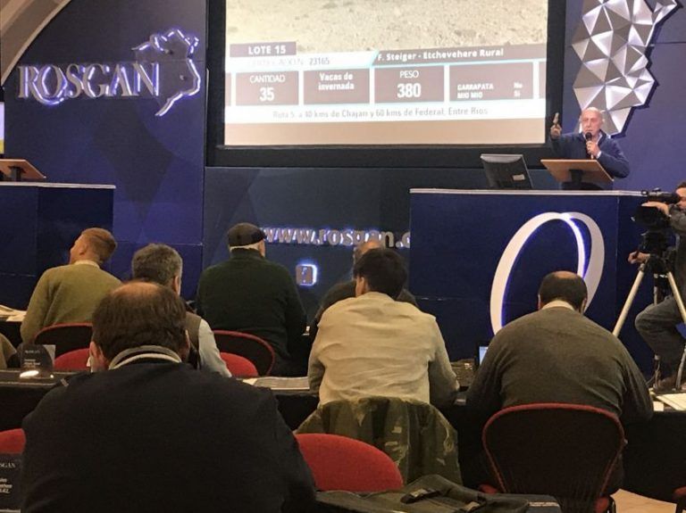 Rosgan: Buena oferta y fuerte demanda impulso los precios