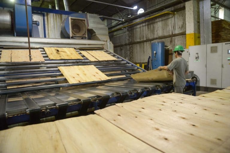 Baja de aranceles en China estimula producción forestal nacional