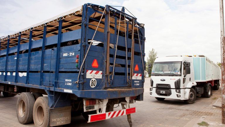 La autogestión avanzó en trámites para mover hacienda