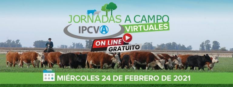 Llega a Reconquista la primera jornada a campo del IPCVA 2021