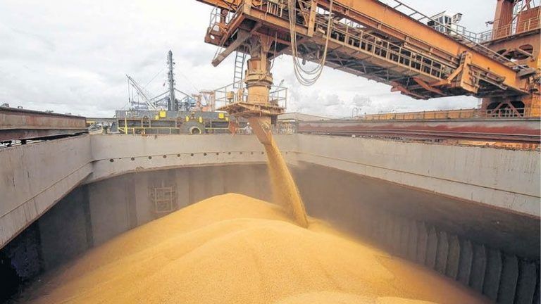 Contribución “récord” de la agricultura en la economía argentina en 2021