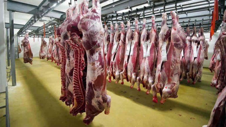 Suspenden a exportadoras por rulo cárnico