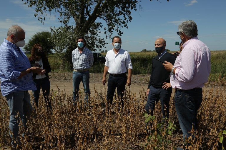 Agricultura lanzó estimación de cosecha gruesa 2020/21