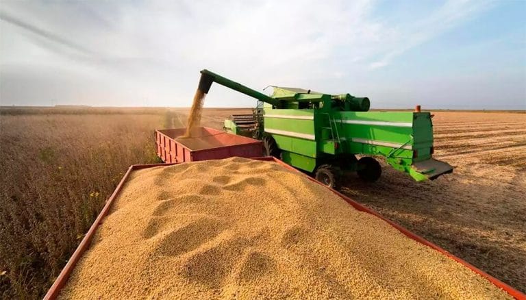 La producción de soja será la más baja en una década, para la región centro