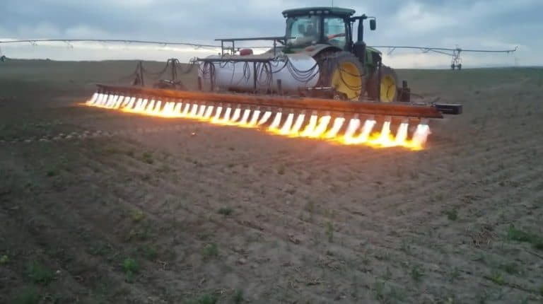 El tractor lanzallamas no necesita productos químicos para deshacerse de las malezas
