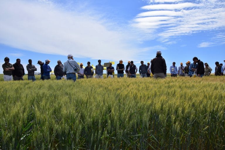 Productores creen que aumentará la presión impositiva tras las elecciones