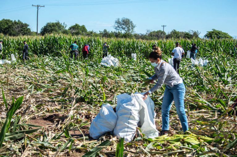 La Pandemia no detiene a la solidaridad de Agronomía